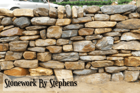 pictures-of-fox-job-031w