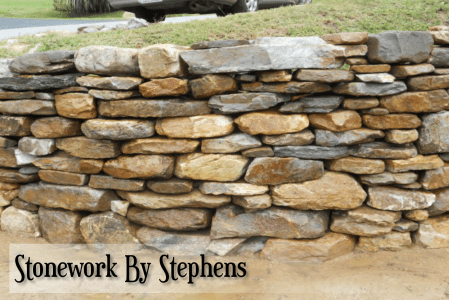 pictures-of-fox-job-034w